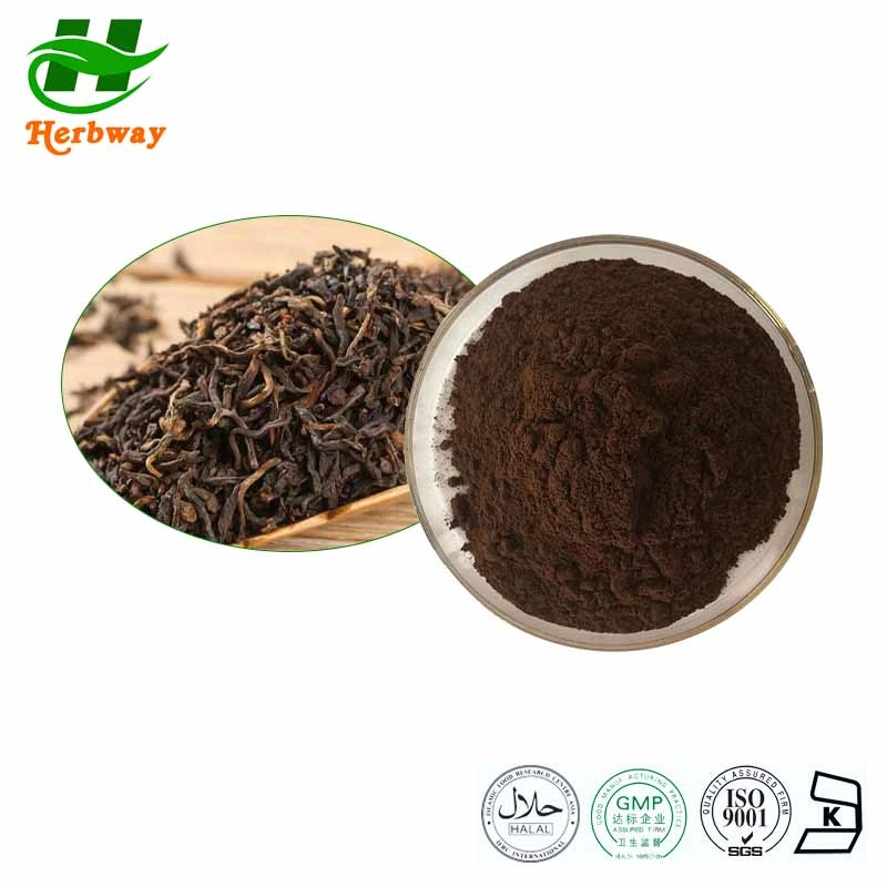 China&prime; S Low Price 100% PU&prime; Er Tea Extract Powder Instant Tea Powder Theaflavin Tea Polyphenols Camellia Sinensis Var. Assamica