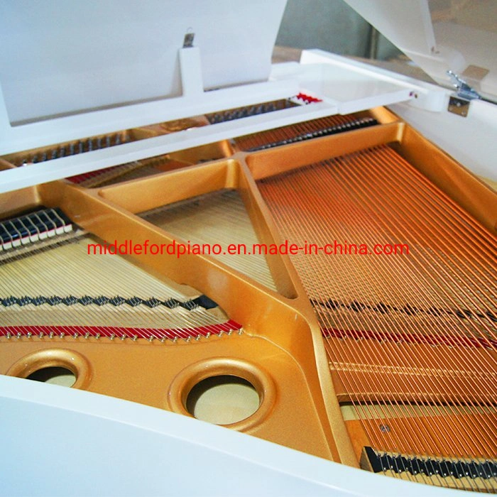 Middleford (GP-152W) Piano à queue blanc 152 avec banc réglable gratuit