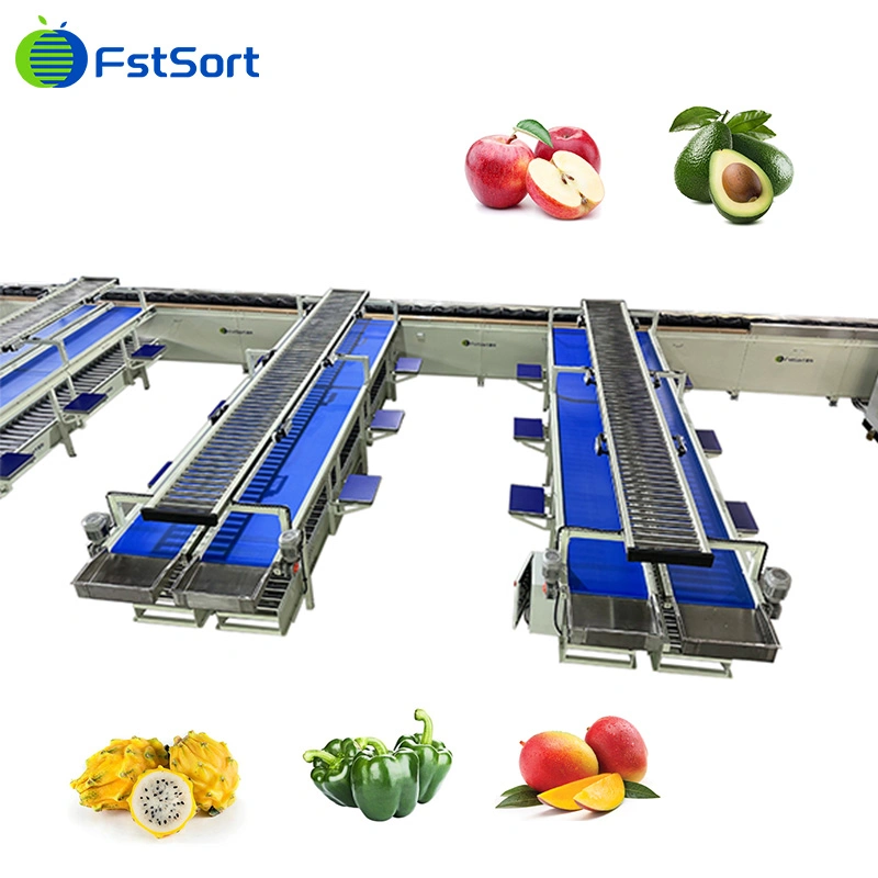 Máquina de clasificación de frutas a escala/ Sorter de frutas de dragón fruta redonda Clasificación máquina clasificadora de frutas de embalaje