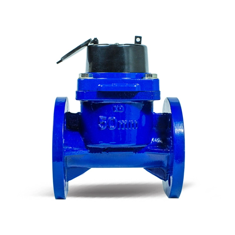 R25, R40 Great Volume Water Meter Agricultural Irrigation Water Meter