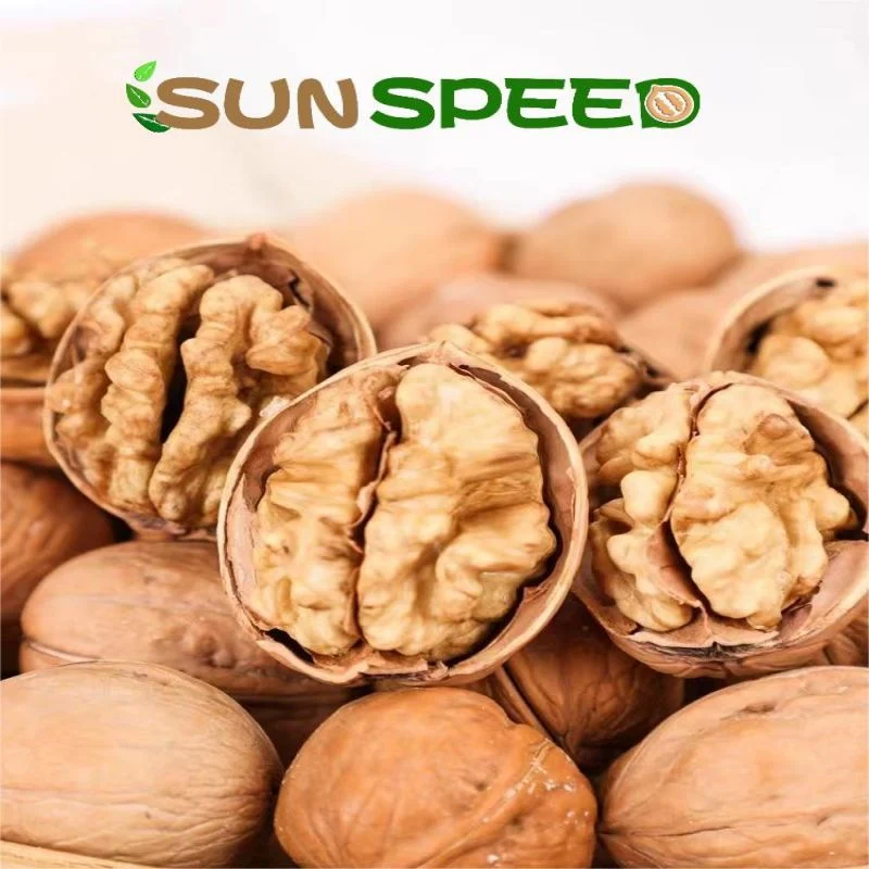 شينجيانج Paper Shell Delicious Inshell 185 Walnut الصينية النيئة Walnut