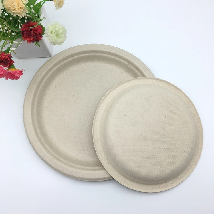 Disposable Paper Plate Dishes Biodegradable Dinnerware Food Tableware