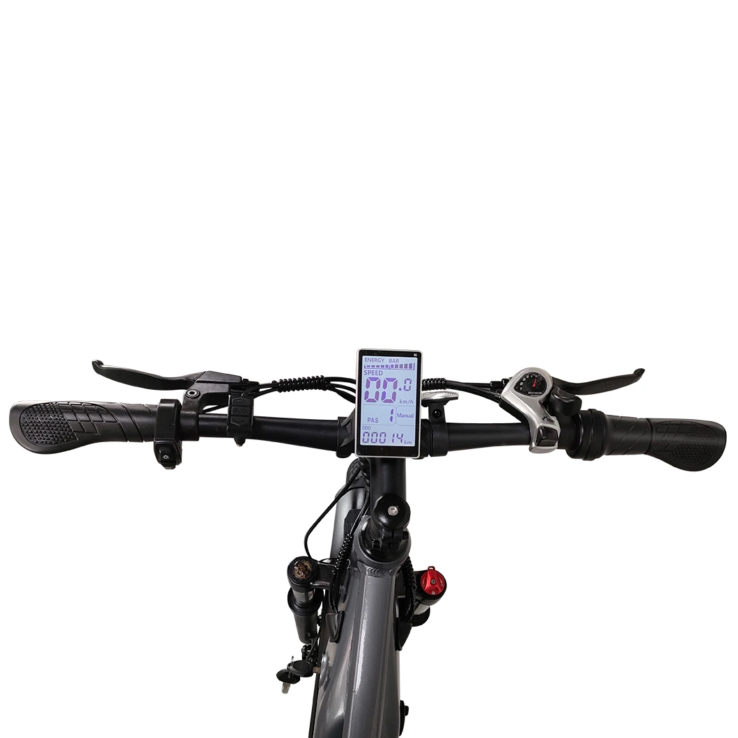 26inch Electric MTB with 48V 750W Strong Power 16ah Battery Built-in Battery