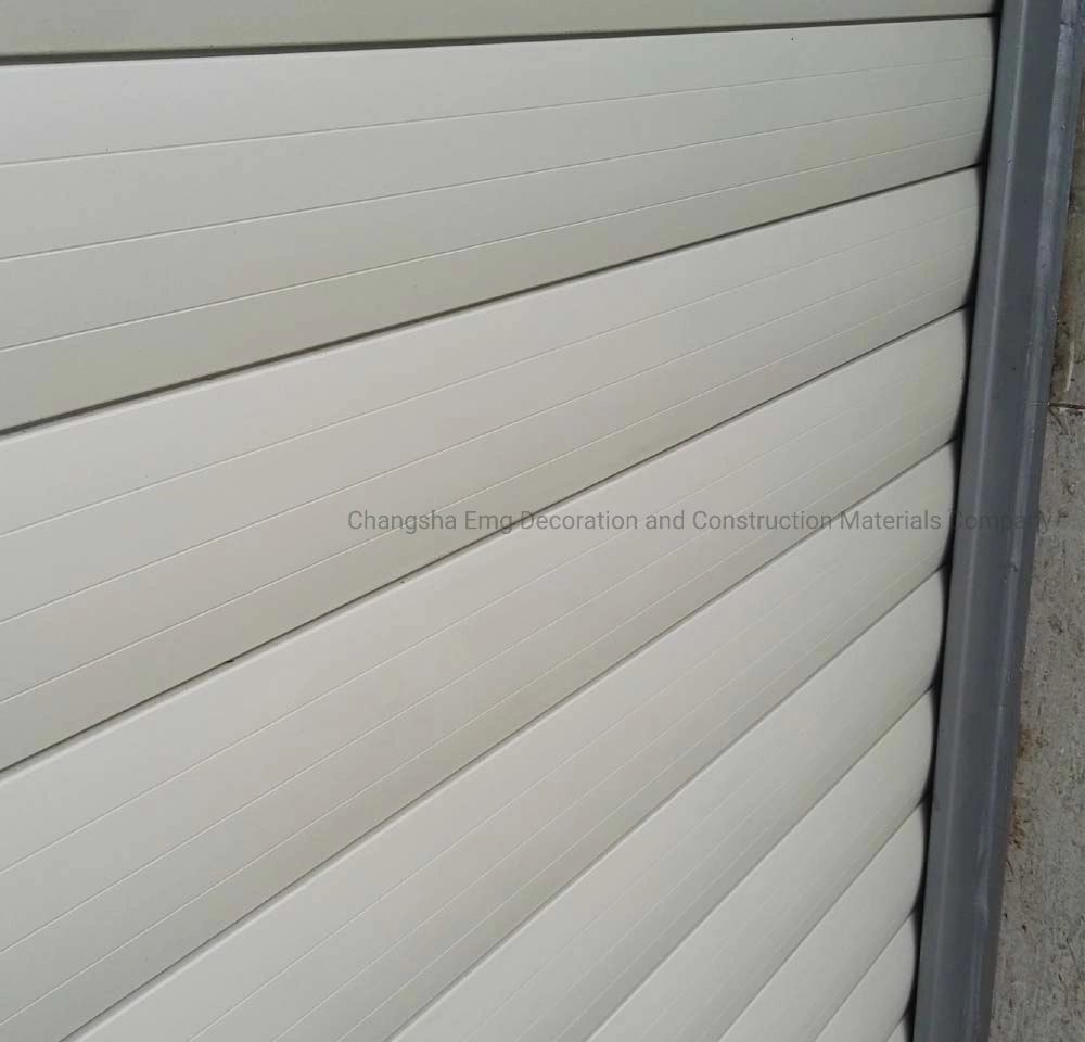 Exterior & Interior Industrial Use Rolling Shutter Door Garage Door Large Entrance Door