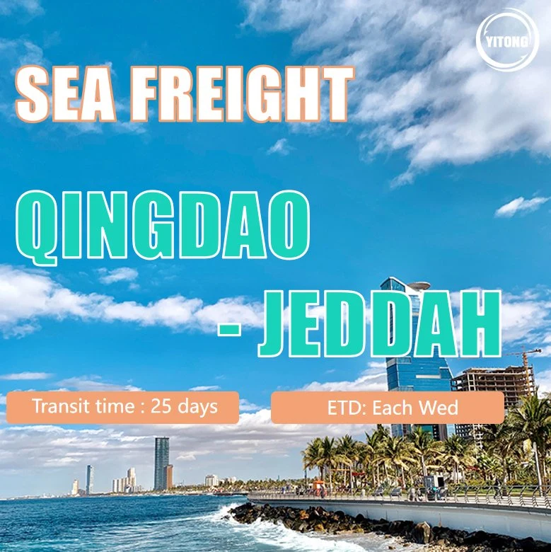 Sea Freight Logistics From Qingdao to Jeddah