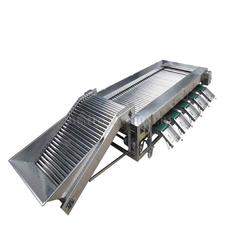 High Automation Fruit Vegetable Grading Sorting Machine by Size