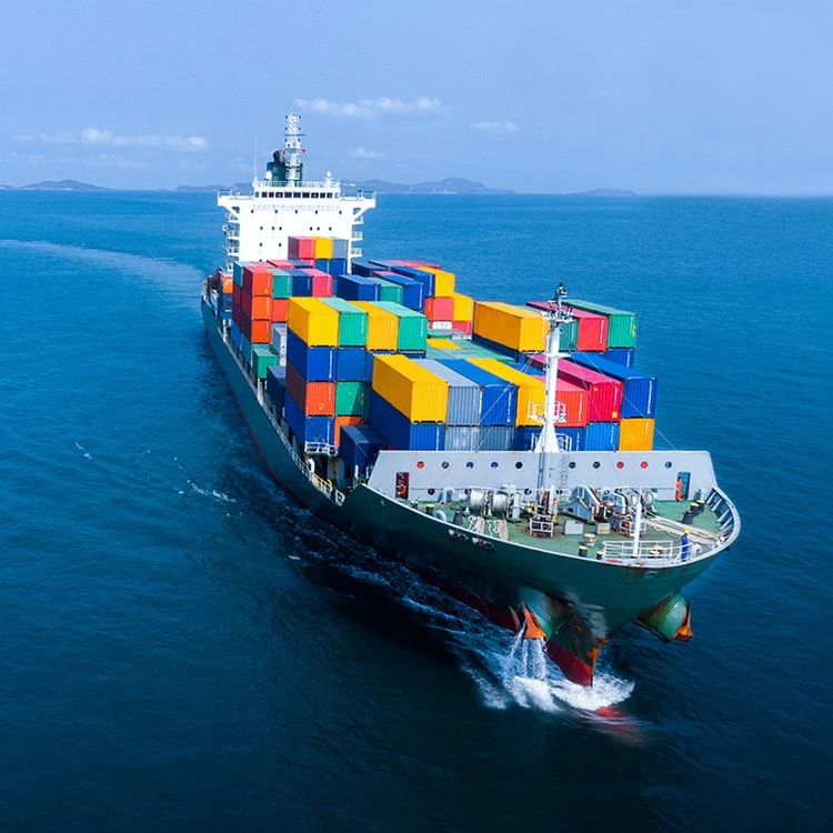 Sea Transportation Ningbo to Itapoa/Buenos Aires/Montevideo Ocean Agent Fast Good Service in China