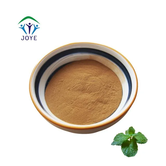 Water Soluble Pure Natural Peppermint Powder