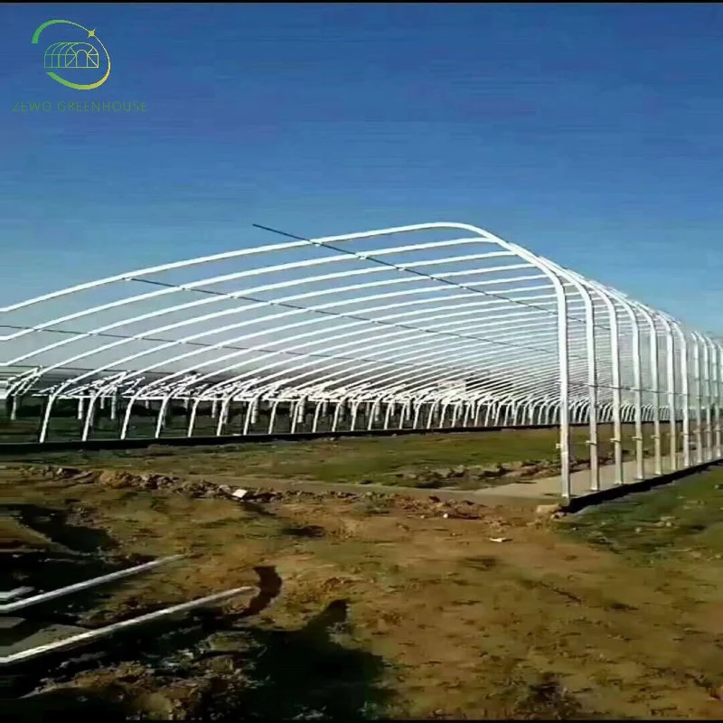 Easy Installation Bolt Connection Elliptical Tube Solar Greenhouse with Heat Collection System for Vegetables/Seed Breeding/Tomato/Cucumber