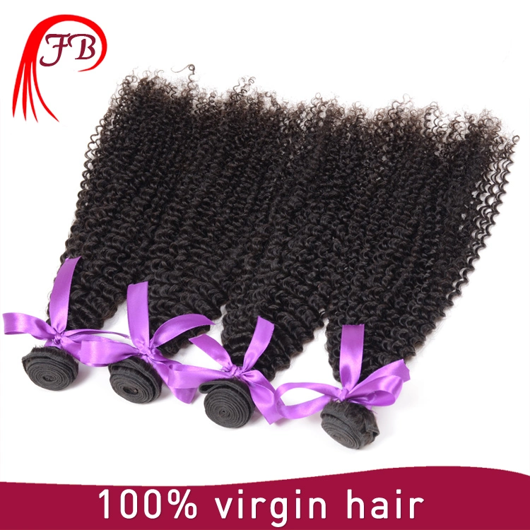 Wholesale Cheap Price Human Hair Weave Brazilian Hair in China Afro Kinky Curly Hair Bundles