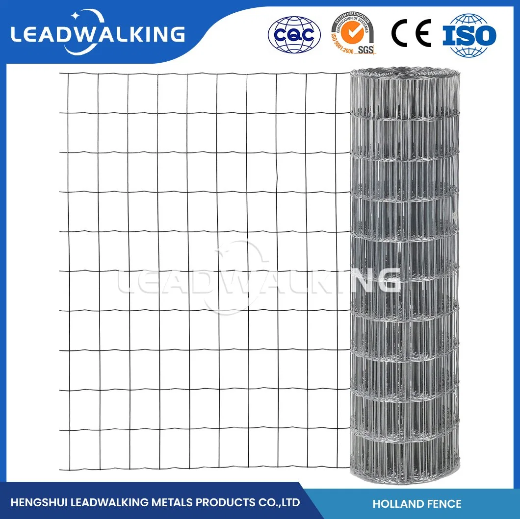 Leadwalking Plastic Power Coated Welded Wire Mesh Factory High-Quality Powder-Coatedpvc Coated Dutch Wire Mesh Fencing China 2"X3" Inch Holland Dutch Wire Mesh