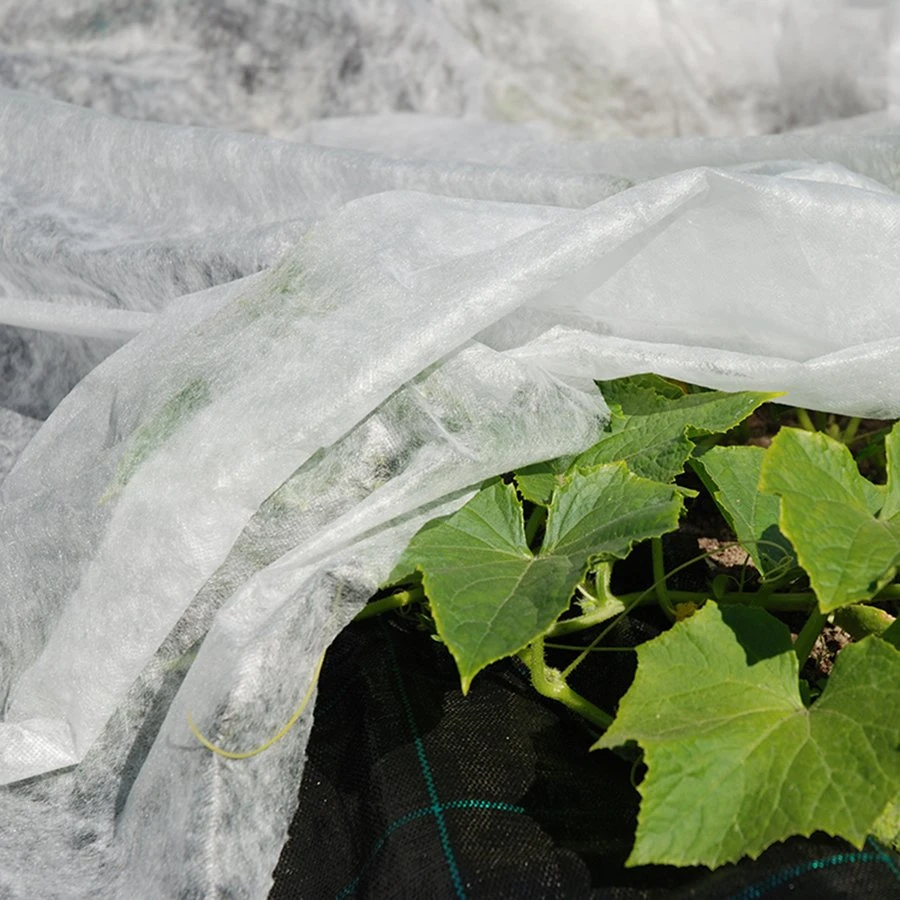 Los rayos UV estabilizado PP Nonwoven Fabric cubierta para la Agricultura