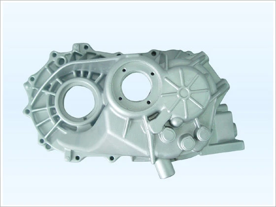 Mold Die Casting Parts (HS-IC-009)