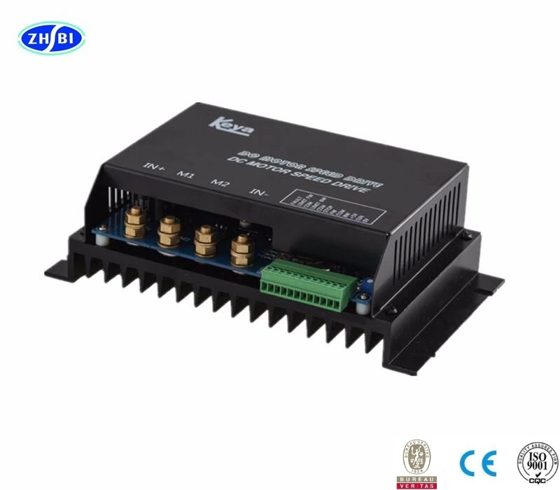 EV Car Conversion Kit Ele 36V BLDC Motor Controller PWM 0-5V 48V 30A Motor Controller 350W Electronic Speed Controller