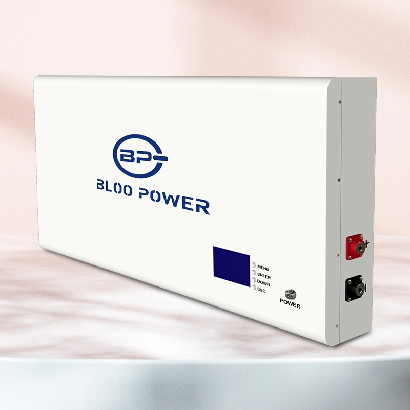 Bloopower 400ah 500ah LiFePO4 Lithium Charger for Wall System Customized Deep Cycle Life Rechargeable LFP for Home Storage Battery