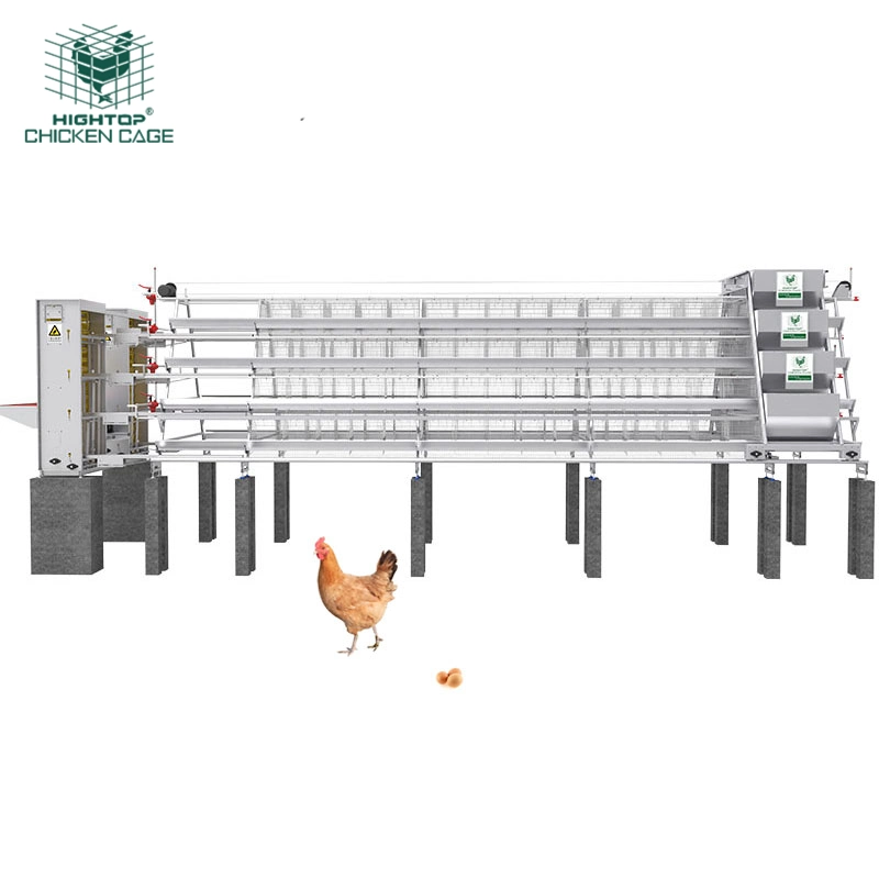 Commercial Chicken Layer Cage Poultry Farm Equipment A Type Poultry Laying  Hens Egg Battery  Cages For Nigeria Farm