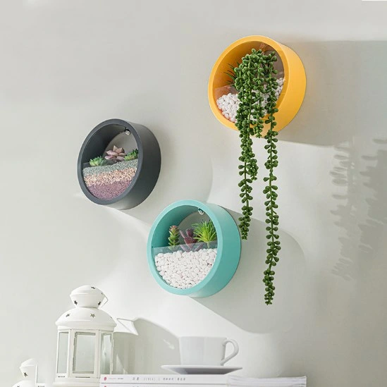 2023 New Style Factory Direct Wall Hanging Pot Wall Water Parede suspensa de plantas verde Culture