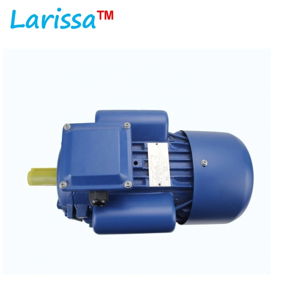 AC Single Phase Electric Induction Motor 220V 0.5HP 1HP 1.5HP 2.2HP 3HP 4HP 5.5HP Ycl Yc Series