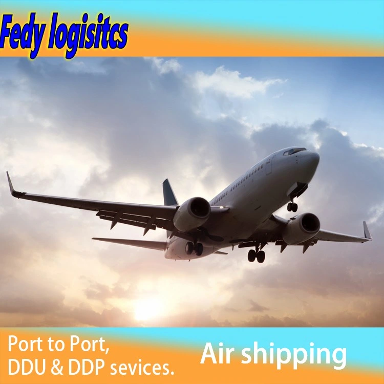 Air Cargo Shipping von China nach Kanada/Singapur/Malaysia/Thailand/Indonesien/Vietnam Amazon Versand durch Amazon Luftfracht DDP Sea