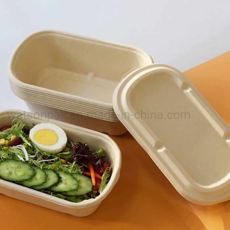 Watsonpak Ecológico 100% cana biodegradáveis microondas e geladeira Cofre biodegradáveis de 850ml de polpa de cana-de-reciclável descartáveis Lunch Box