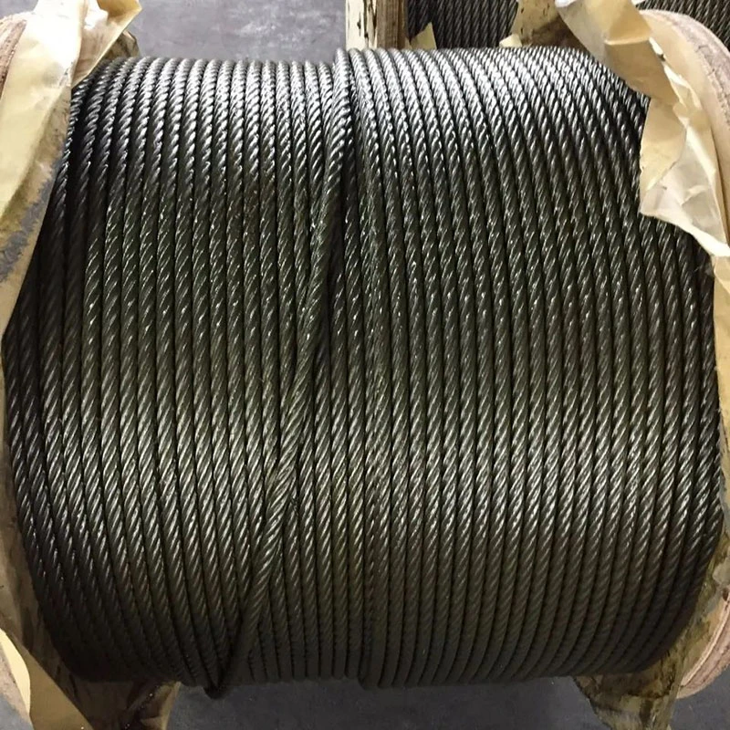 Round Strand Wire Rope 1*7 7*7 1*19 7*19 6*12 6*19 6*37 FC Iwrc Wire Rope Galvanized Wire Rope Elevator Rope Stainless Steel Wire Rope TPU/PVC Wire Rope