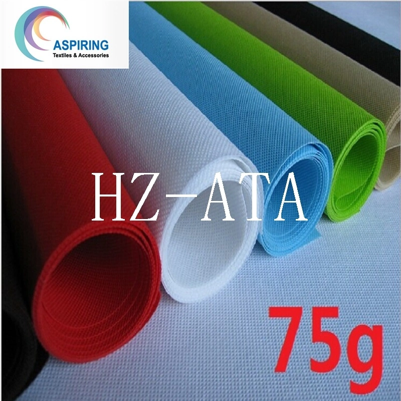 100%PP Non-Woven Fabric for Shopping Bag