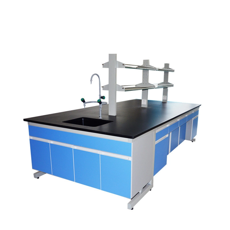 Hot Sales Other Lab Furniture Various Styles Lab Bench