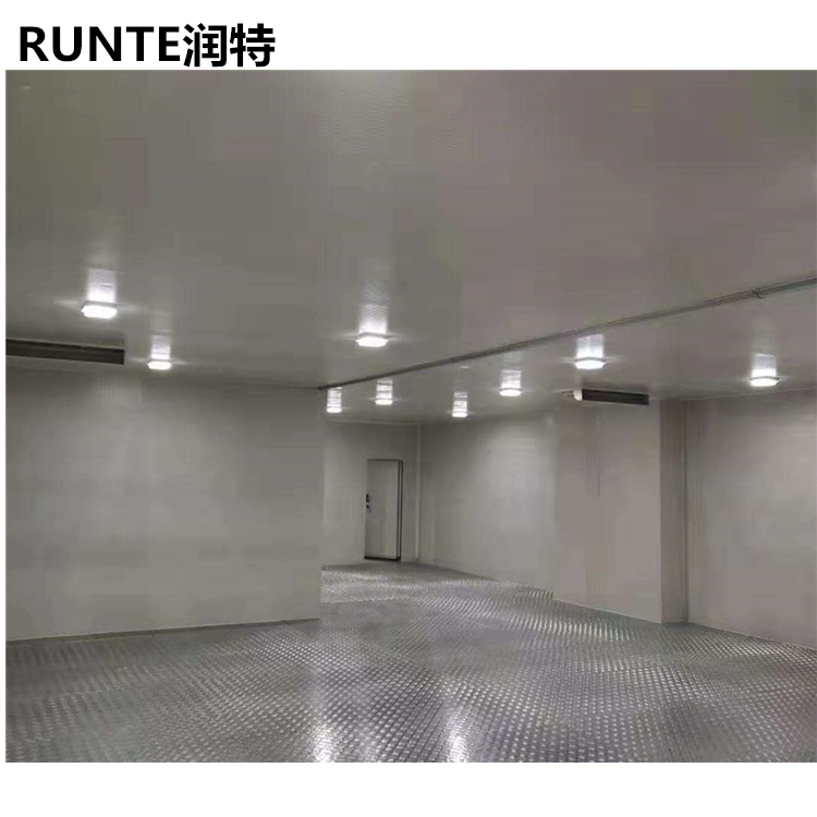 Runte Professional Design Cold Room Storage Refrigeration Equipment for Supermarket