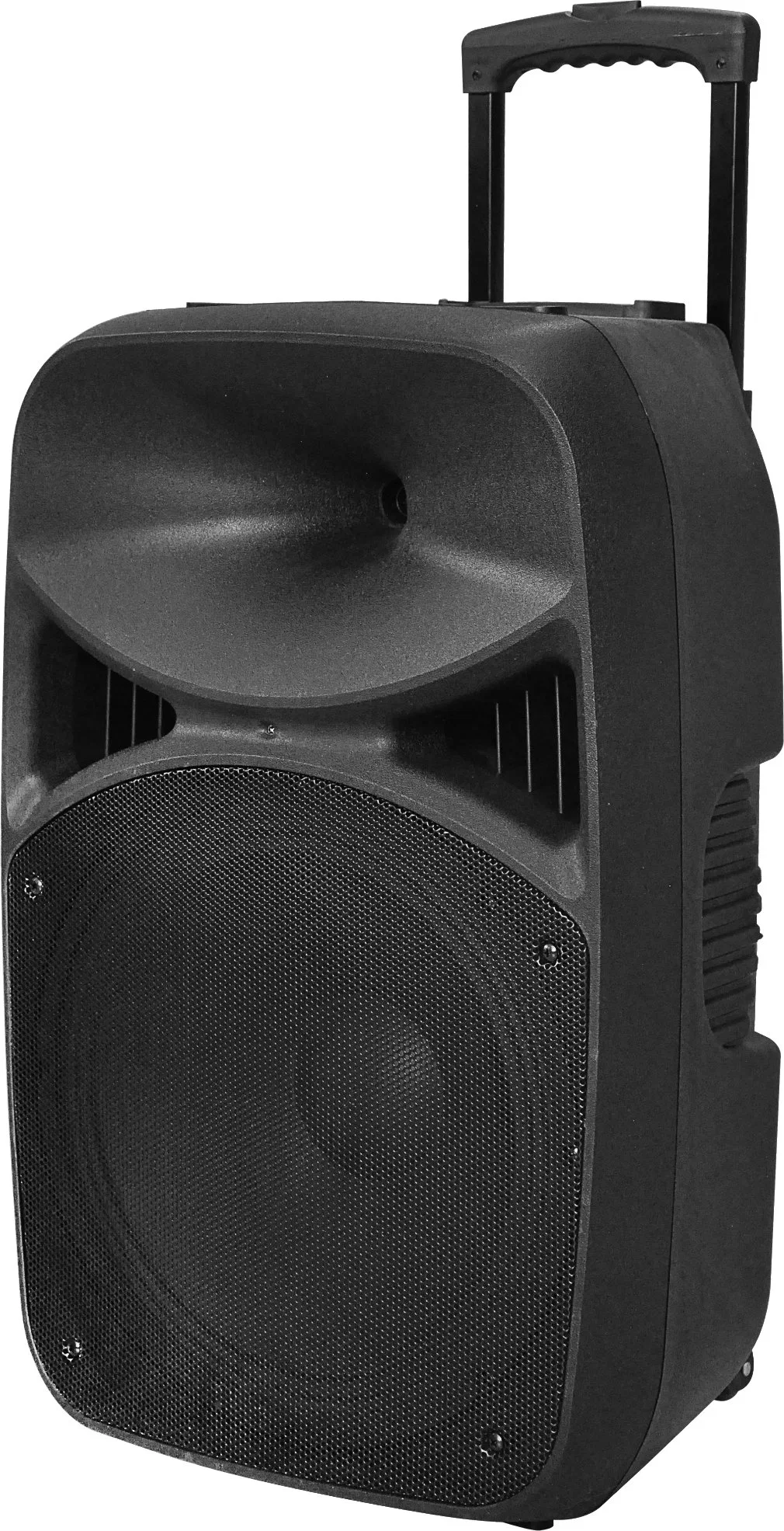 Active Speakers 15 Inch Portable Speaker with Bluetooth Remote Control