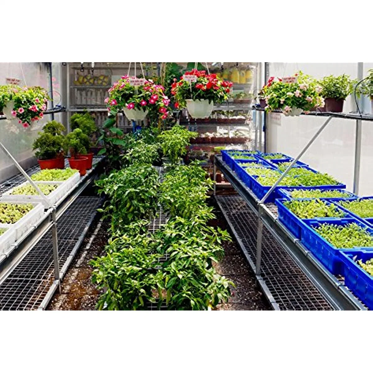 Film Greenhouse Ultraviolet Film Plastic Film Vegetable/Flower/Garden Agricultural Greenhouse Film