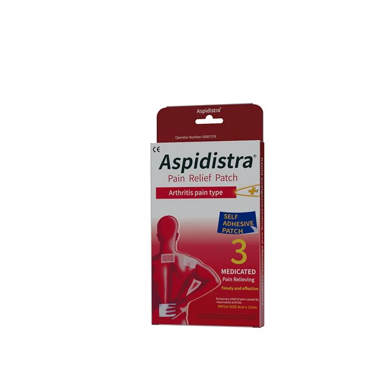 Muestras gratuitas efecto rápido Artritis herbal China alivio del dolor articular Parche