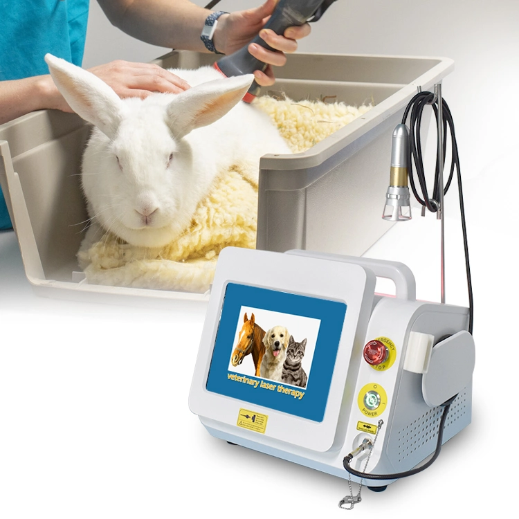 Venda a quente Fisioterapia Equipamentos 980nm Pet Animal cuidados veterinários a máquina a Laser