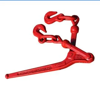 Durable Color Painted Lashing Chain with Co/Form a Certificate