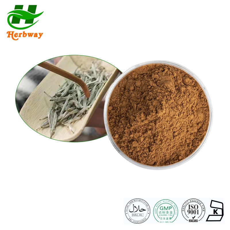 Herbway Kosher Halal Fssc HACCP Certified Free Sample White Tea Extract Health Food 30%Polyphenols