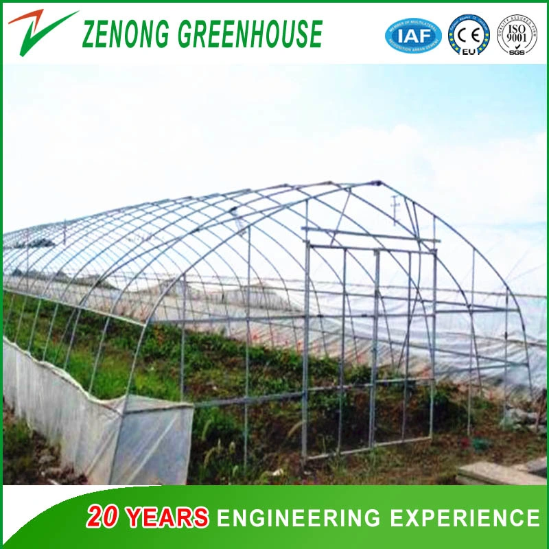 Garden Used Film Covered Tents Greenhouse for Seed Nursery/Planting Vegetables/Flowers