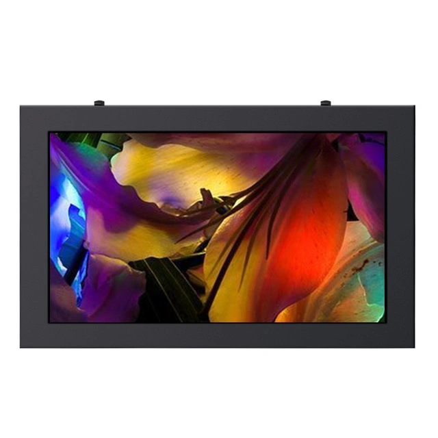 18.5 Inch LCD Wall Mount with Touch Screen Android Display