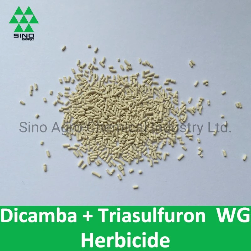 Herbizid Dicamba 65,5% + Triasulfuron 4,1% Wg/Wdg Pestizid