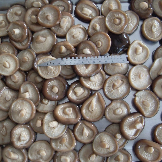 Canned Shiitake Mushroom Whole