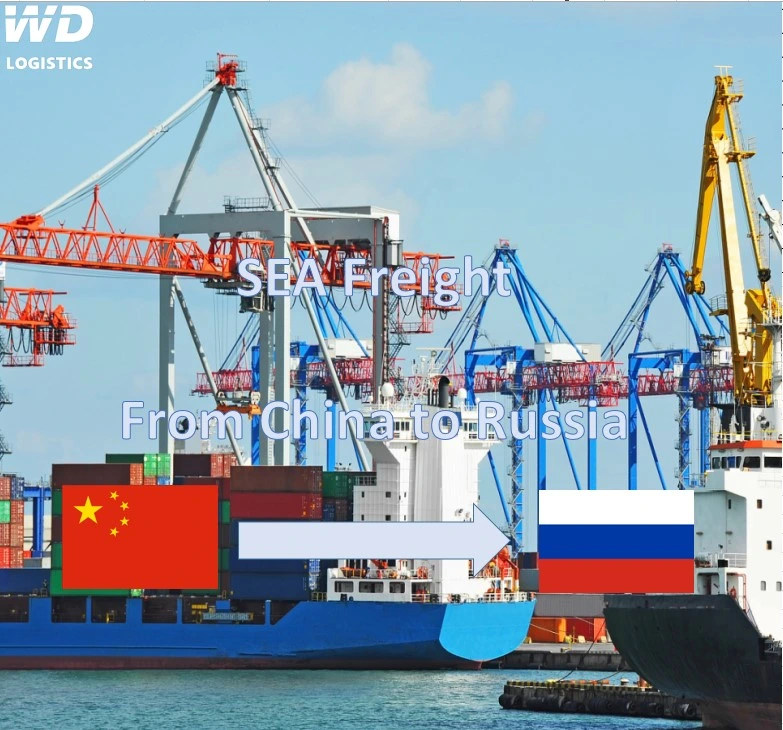 FCL/LCL Frete Marítimo de Shenzhen para Rússia, Moldávia, Polónia, República Checa, Eslováquia, Hungria Professional Sea Freight Agent