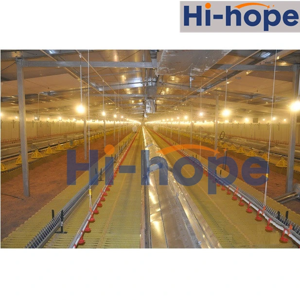 Poultry Farming Hen Egg Chicken Laying Nest Automatic Cage for Sale