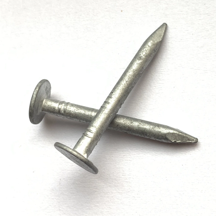 3/4 in. Hot Dipped Roofing Nails, Smooth Shank, Bulk