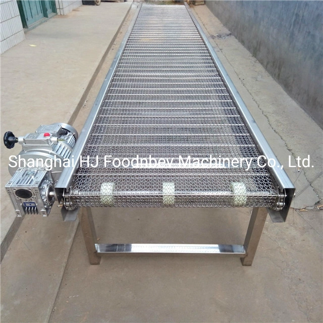 Stainless Steel Conveyor System for Fruit Washing and Drying Machine