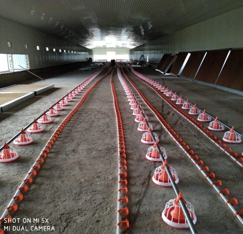 Automatic Broiler/Breeder Poultry Farming Equipment for Chicken