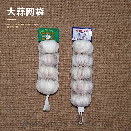 2023 China New Super Quality New Fresh Garlic