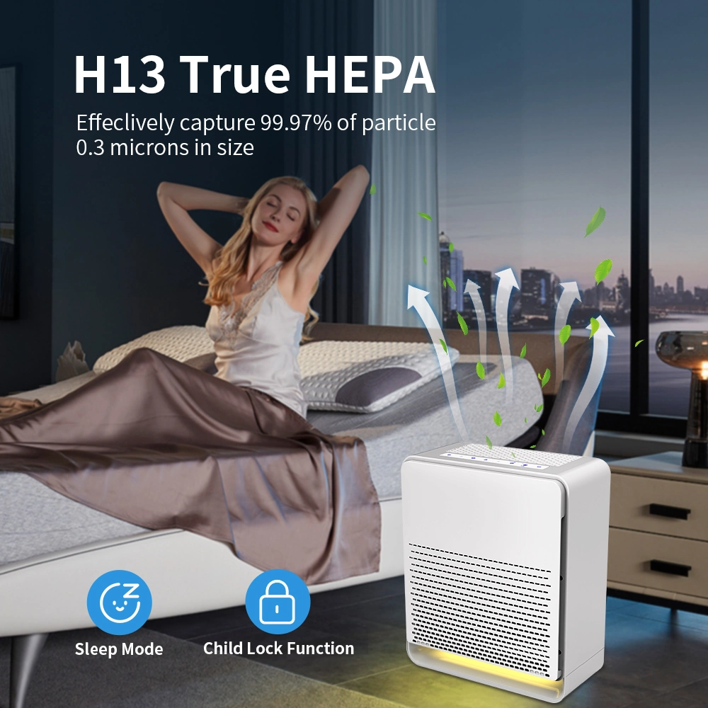 Middle Room Air Purifier with H13 HEPA Air Filter with Sleep Mode for Home Super Silent