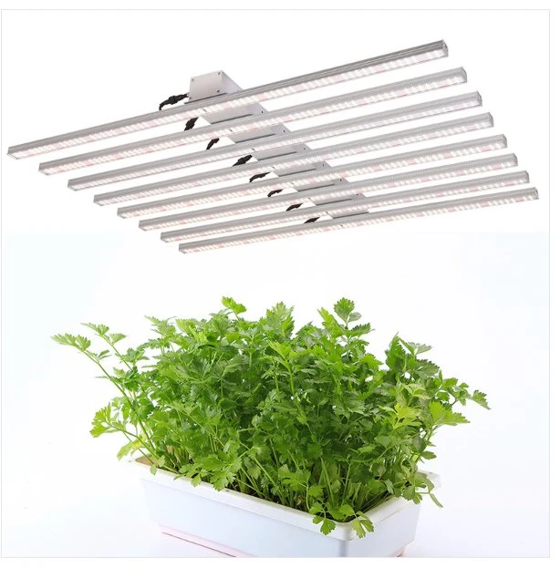 High Quality Long Life Indoor Agriculture LED Lights