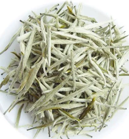 High Standard 40% Polyphenole White Tea Extract