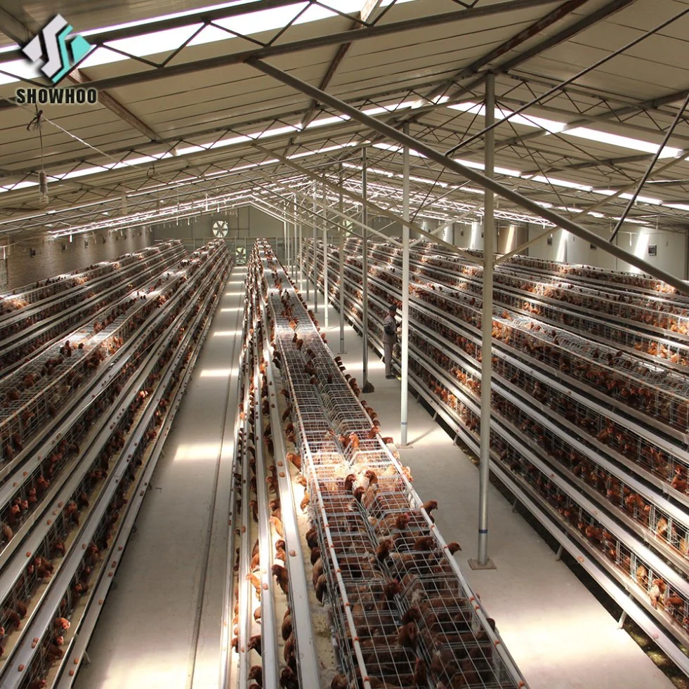 Caldera de aves de corral de Kenia el sistema de cultivo de la jaula de pollo