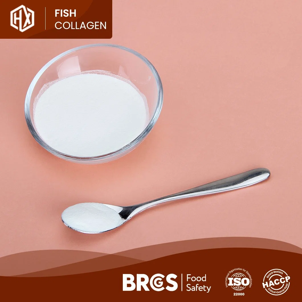 Haoxiang Fish Original Collagen Powder Supplier Supplement Vital Proteins Fish Collagen Beauty 500-1000dal/300-500dal Molecular Weight Tilapia Scale Collagen