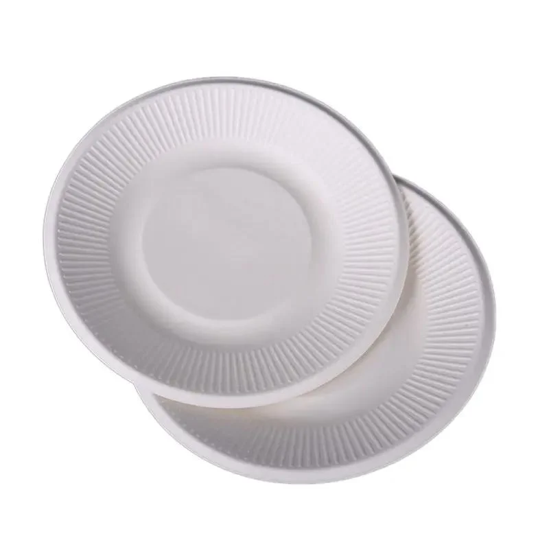 Bagasse Takeout Fast Food 6" Ribbed Plate